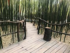 -竹泉村旅游度假区