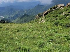 -白草畔自然风景区