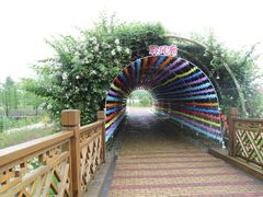 -同里国家湿地公园