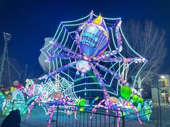 -淄博花灯齐彩城