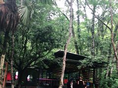 -桂林古东瀑布景区