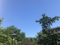 -中国人民解放军空军特色医学中心(空军总医院)