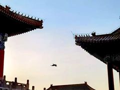 -北京市劳动人民文化宫(太庙)