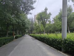 -庄怡公园