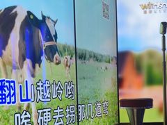 -温莎KTV(国贸店)