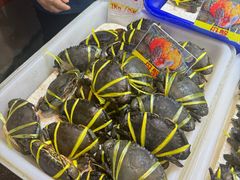 -兰坡海鲜市场