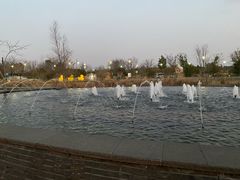 -苏州湾·王焰温泉