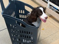 -嘉馨宠物医院·CT影像转诊·心脏科·犬猫全科诊疗中心(下沙大学城院区)