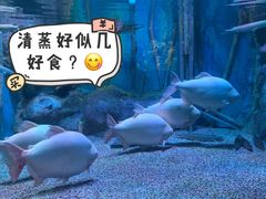 -正佳极地海洋世界