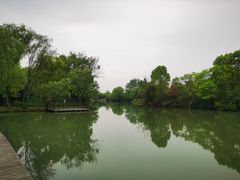 -西溪国家湿地公园