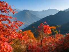 -周口店坡峰岭风景区