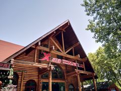 -合肥滨湖国家森林公园