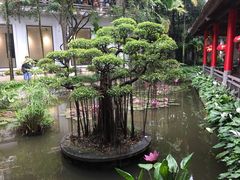 -河内西湖莲花自助餐厅