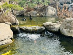 -罗红摄影艺术馆