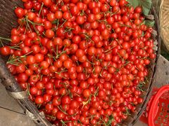 -樱桃山旅游景区