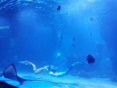 -石家庄海洋公园