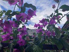 -浔岚云舍mist静谧观景美宿(丽江古城店)