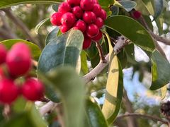 -大鹏佳兆业广场