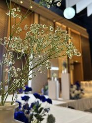 -成都新希望高新皇冠假日酒店-宴会厅·会议活动·户外场地