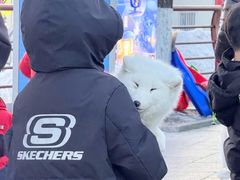 -长春市南湖公园