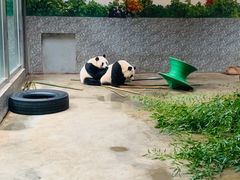 -西安秦岭野生动物园