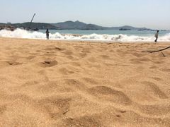 -枸杞岛