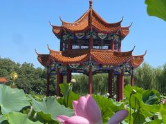 -南戴河国际娱乐中心