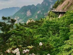 -九华山风景区