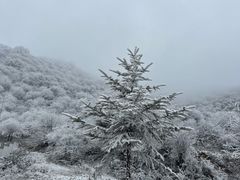 -太子岭滑雪场