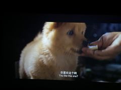 -芒果国际影城东风店
