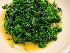 -得丘礼享谷·玉兰苑