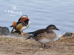 -颐和园