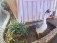 -醉霖生态餐厅(交大店)