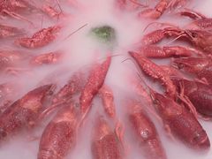 -红盔甲·小龙虾(天钥桥店)