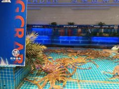 -驻海渔市(置信店)