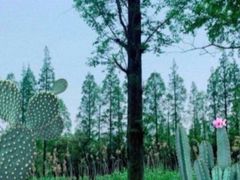 -前小桔亲子创意农场·草莓采摘·露营烧烤