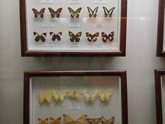 -陕西自然博物馆