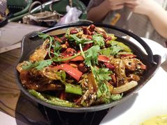 -猫头婴小酒馆FUN OWL(1912店)