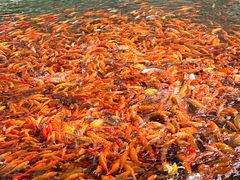 -楠溪江风景名胜区
