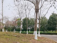 -巴蜀一绝烤全羊