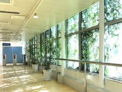 -五台山游泳馆