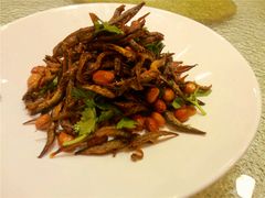 -中国吉菜名店广源宾馆餐厅