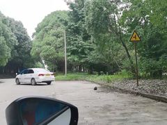 -胜华驾校·小猫学车(银都店)