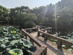 -司徒庙