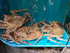 水产区-蟹田居·活蟹料理(东城店)