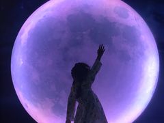 -天津梵高星空艺术馆(天河城旗舰店)