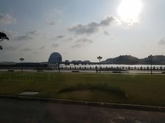 -野狸岛