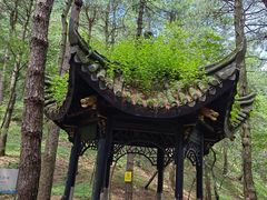 -四明山国家森林公园