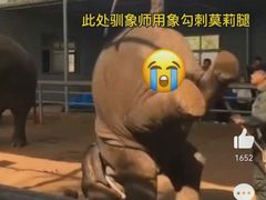 -昆明动物园
