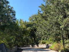 -阳台山自然风景区